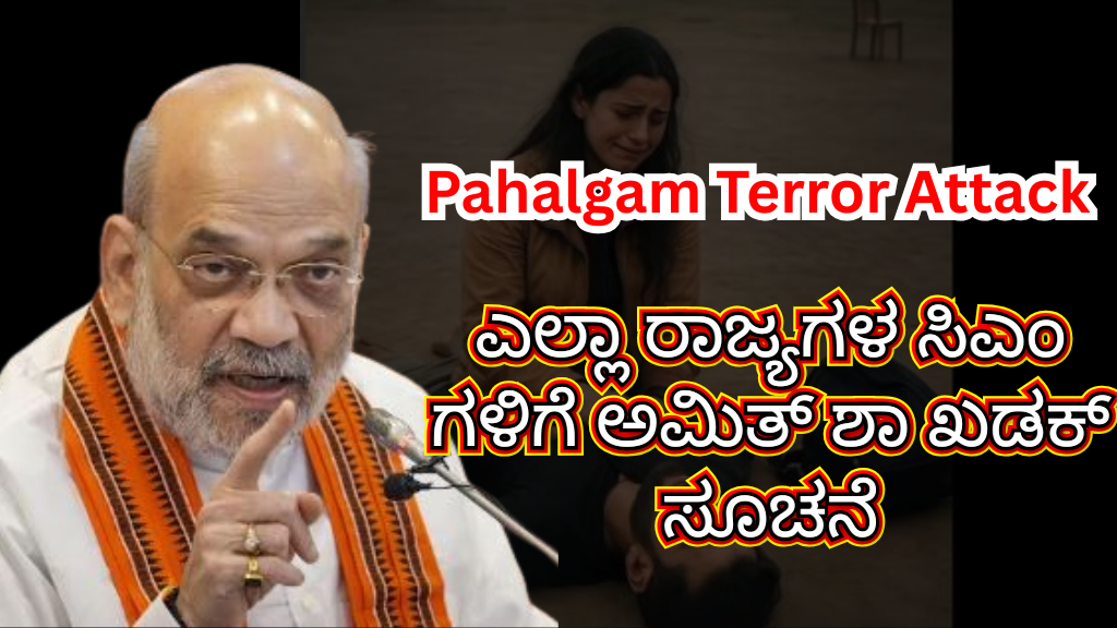 ರಾಜ್ಯಗಳಲ್ಲಿರುವ ಪಾಕಿಗಳನ್ನು ಗುರುತಿಸಿ ಪಾಕ್ ಗೆ ಕಳುಹಿಸುವಂತೆ ರಾಜ್ಯದ ಸಿಎಂಗಳಿಗೆ ಅಮಿತ್ ಶಾ ಖಡಕ್ ಸೂಚನೆ